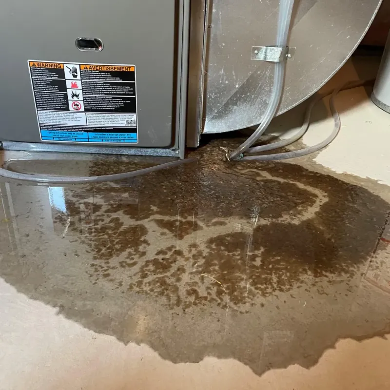 Appliance Leak Cleanup in South Haven, IN